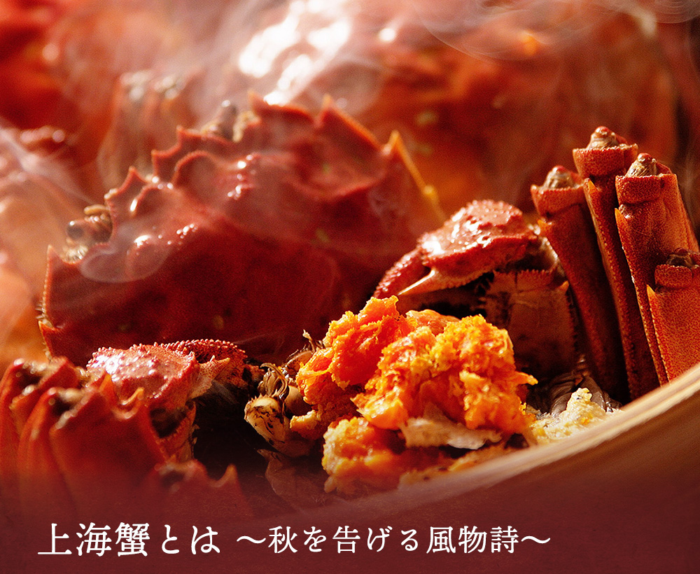上海蟹とは ～秋を告げる風物詩～