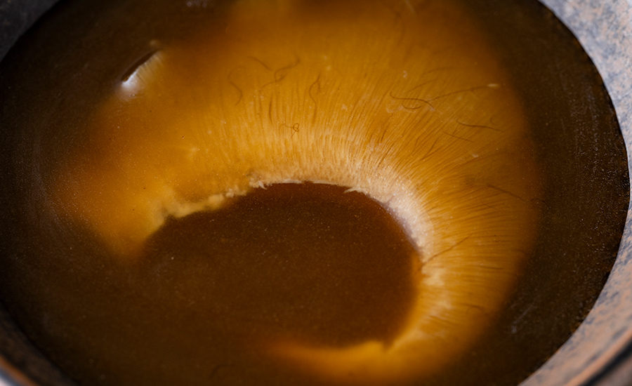 フカヒレの姿煮