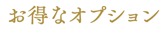 お得なオプション